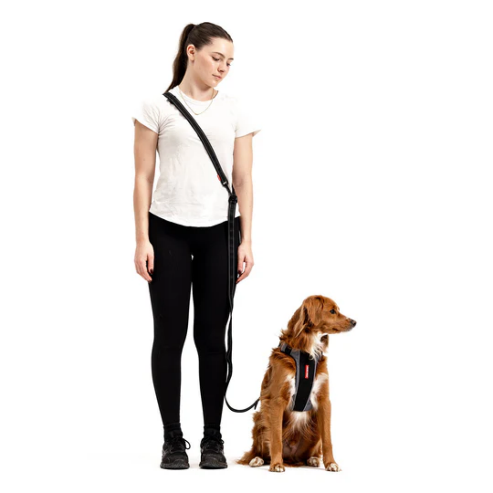 Ezydog 43253 Leas Vario 6 25Mm 6" Candy 15,25Cmsnapclıp