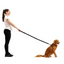 Ezydog Leash Zero Shock 25" Chocolate (63.5Cm)