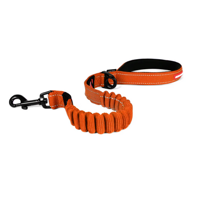 Ezydog Leash Zero Shock 25" Orange (63.5Cm)
