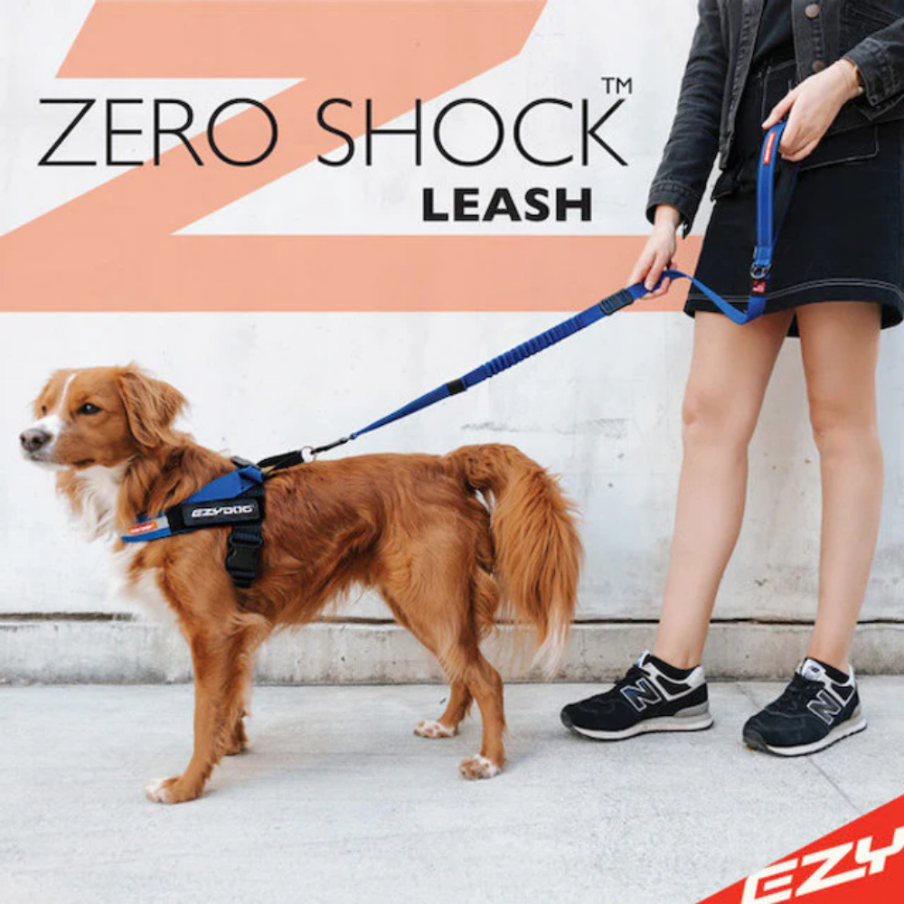 Ezydog Leash Zero Shock 48" Blue 122cm