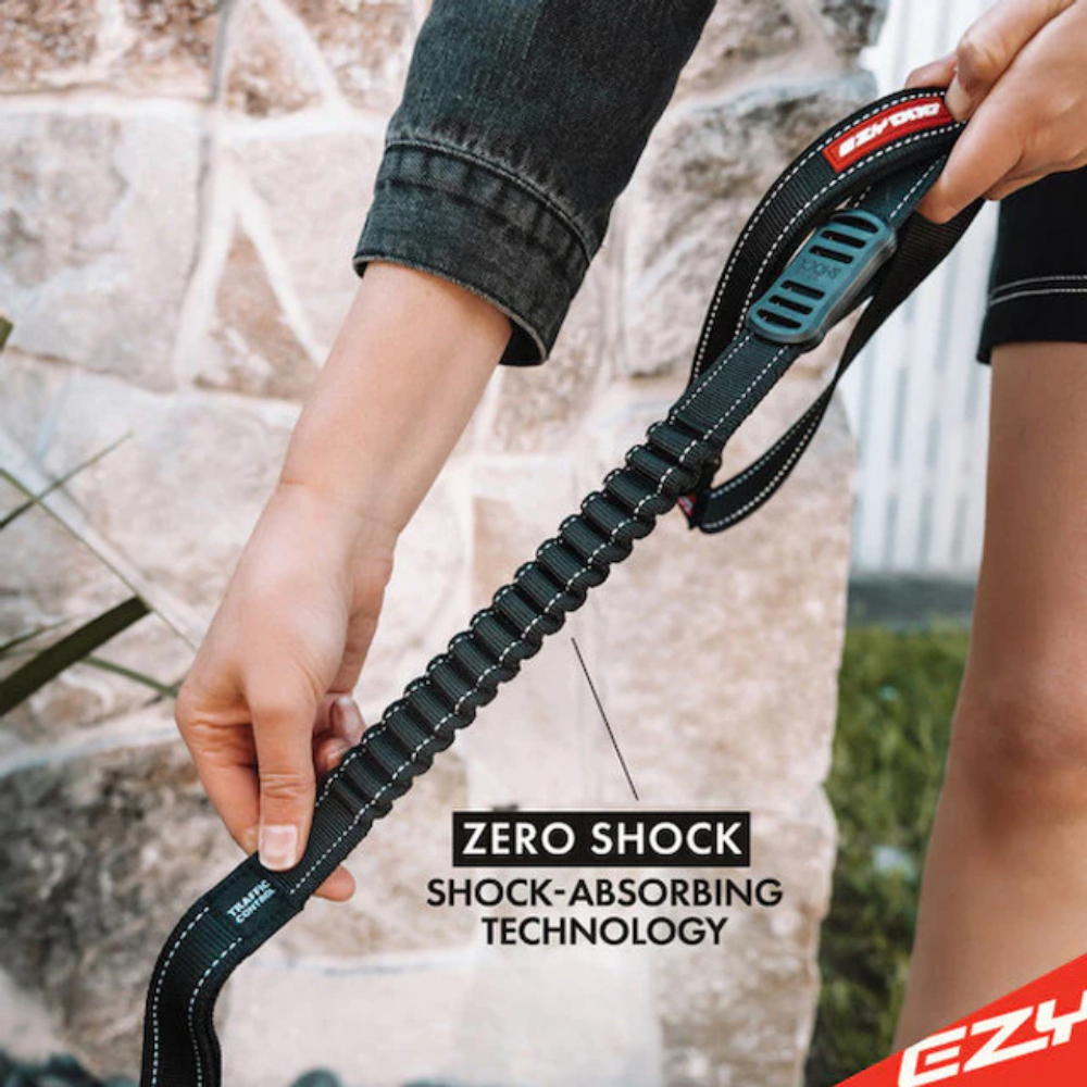 Ezydog Leash Zero Shock 48" Blue 122cm