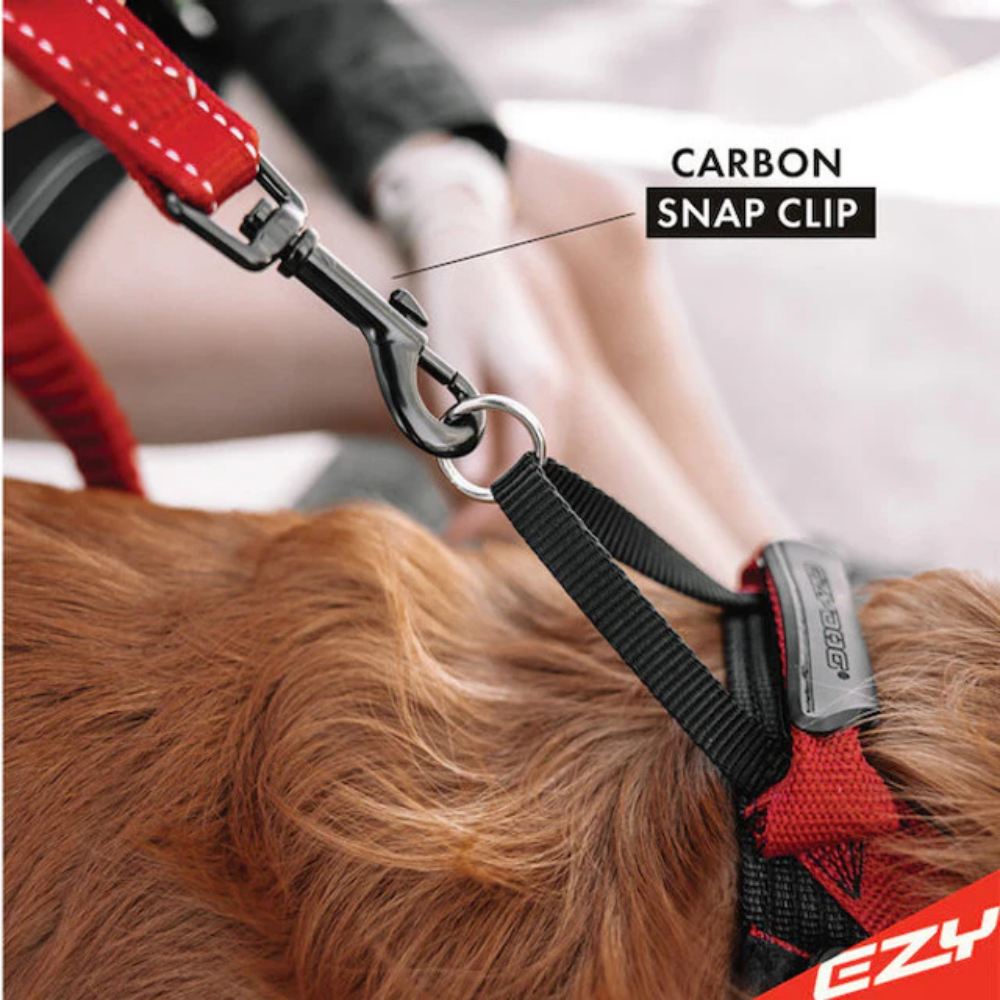Ezydog Leash Zero Shock 48" Blue 122cm