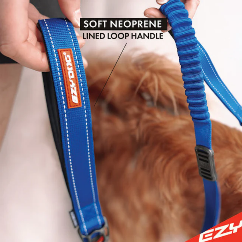 EzyDog Leash Zero Shock 48" Chocolate 122cm