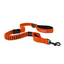 Ezydog Leash Zero Shock 48" Orange 122cm