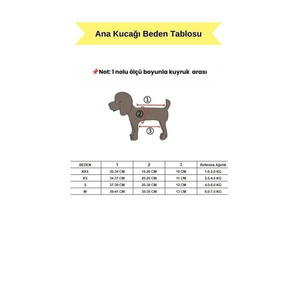 Cp Space Ana Kucağı S