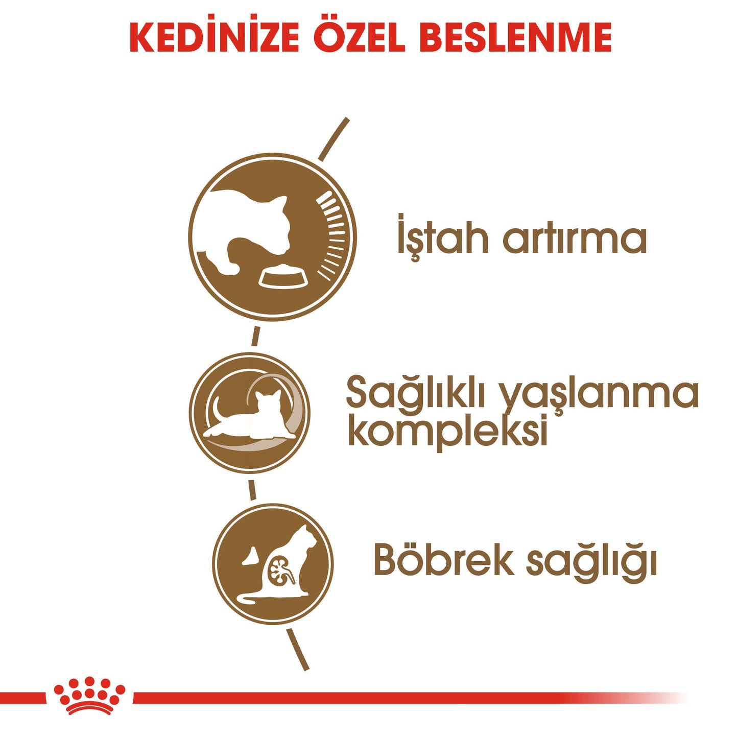 Royal Canin Ageing +12 2 Kg Yaşlı Kuru Kedi Maması