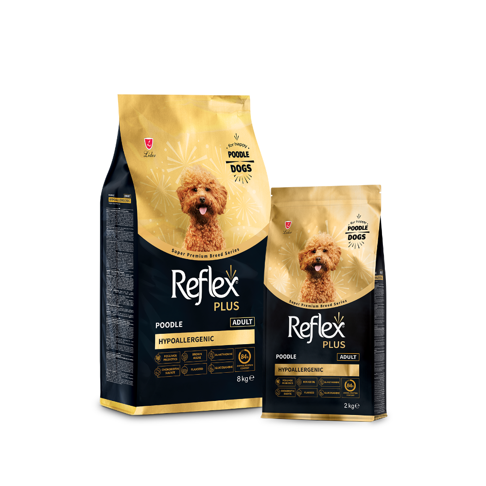 Reflex Plus Poodle Yetişkin Köpek Maması 2 Kg