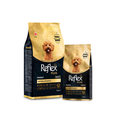 Reflex Plus Poodle Yetişkin Köpek Maması 2 Kg