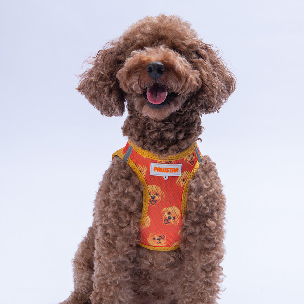 PawStar A31-Poodle Airmesh - 2XS