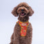 PawStar A31-Poodle Airmesh - 3XS