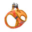 PawStar A31-Poodle Airmesh - XS