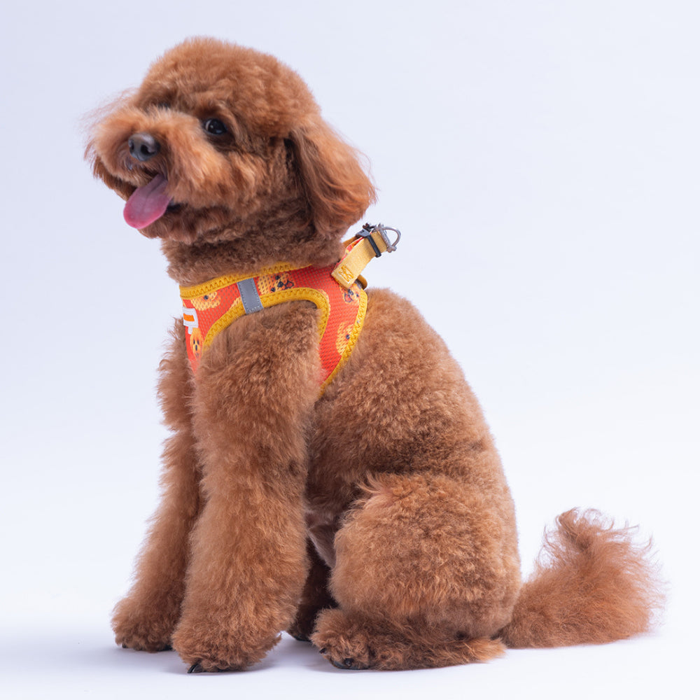 PawStar A31-Poodle Airmesh - XS