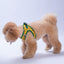 PawStar A32-Watermelon Airmesh - 2XS