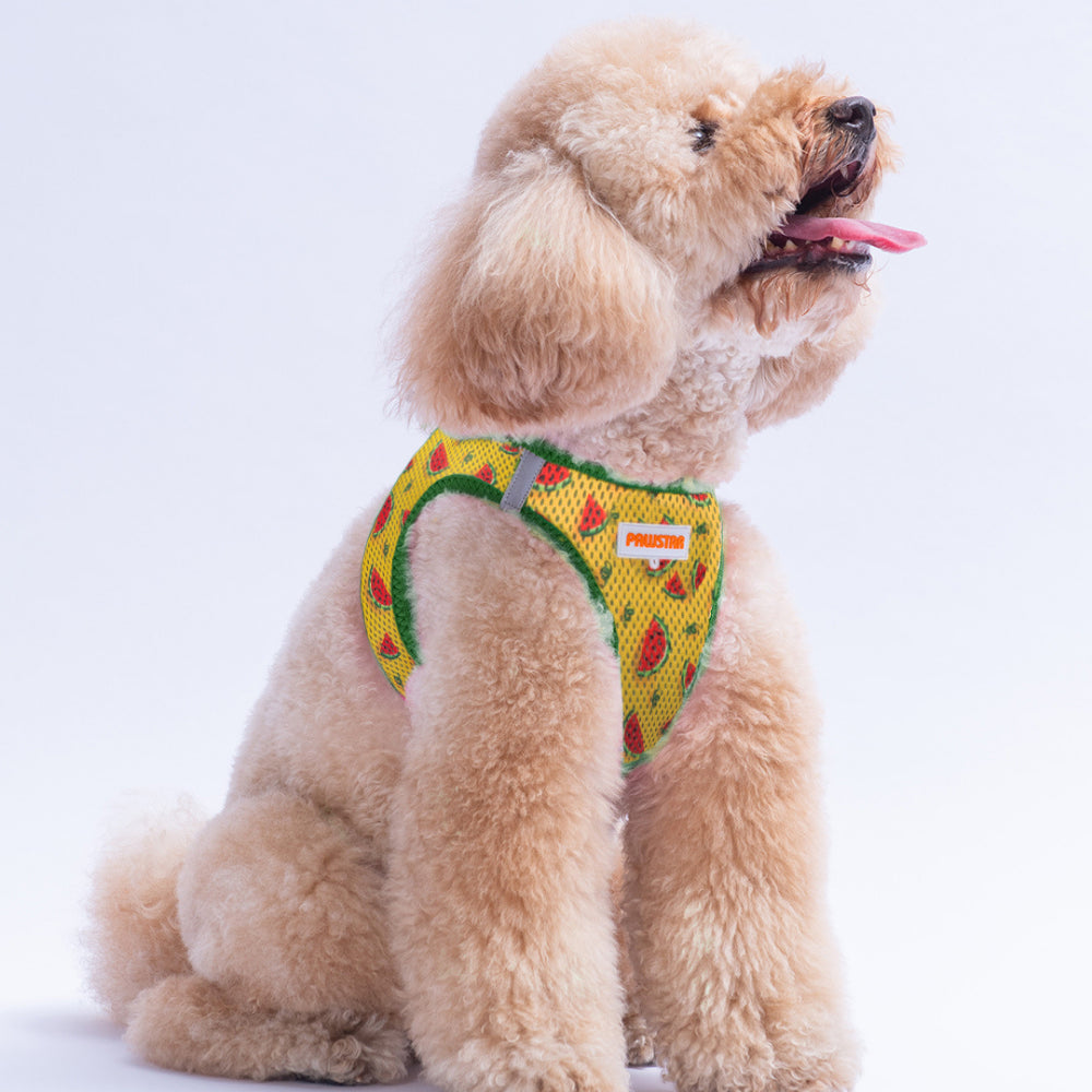 PawStar A32-Watermelon Airmesh - S