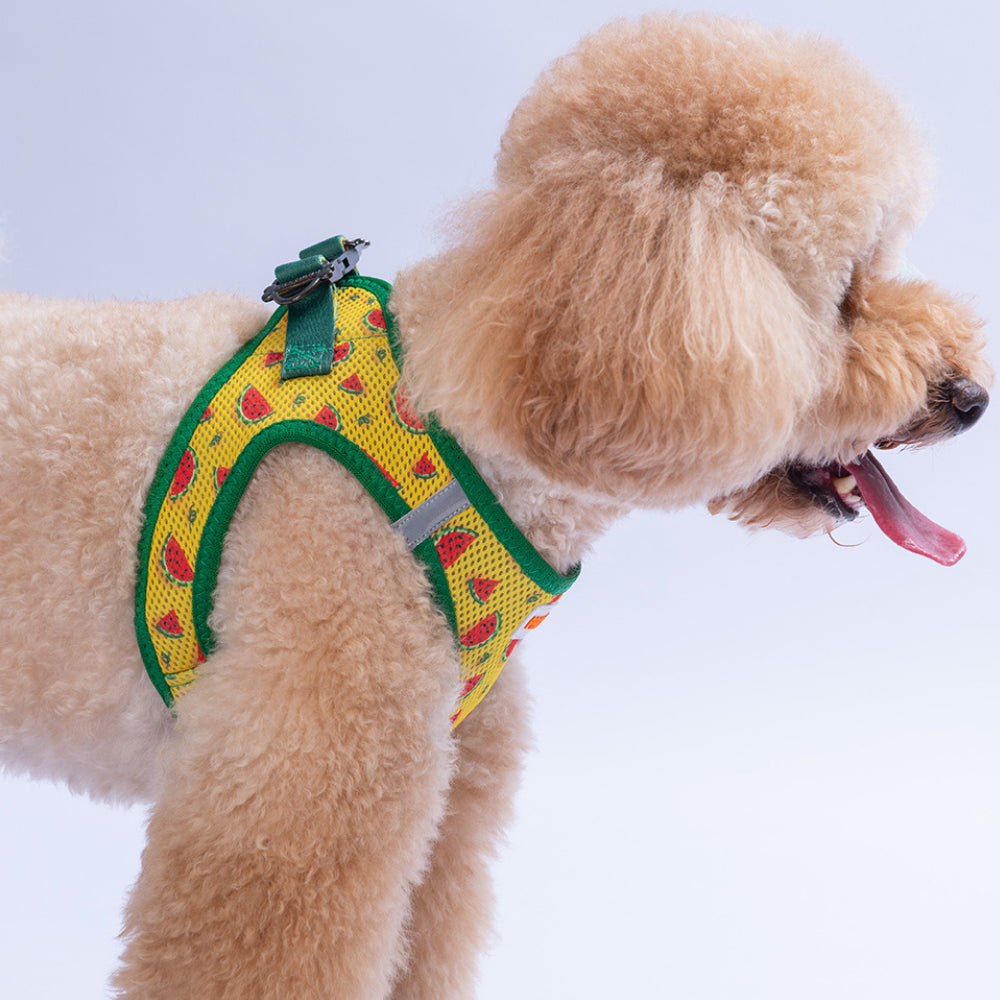 PawStar A32-Watermelon Airmesh - S