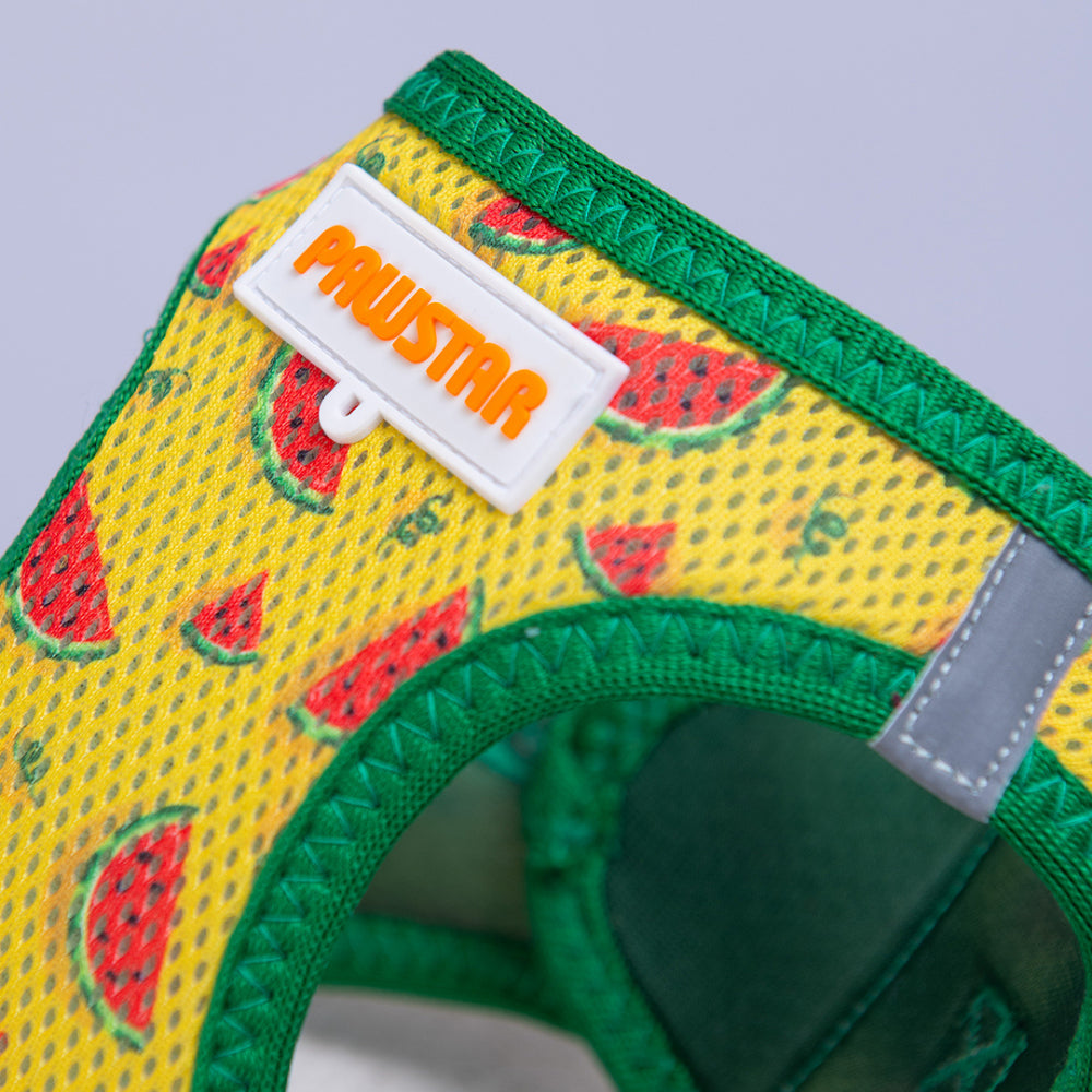 PawStar A32-Watermelon Airmesh - S