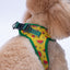 PawStar A32-Watermelon Airmesh - XL