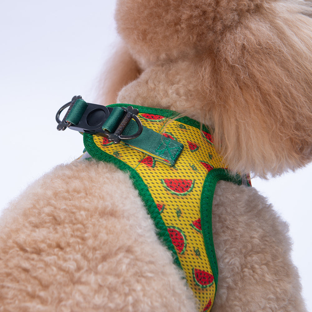 PawStar A32-Watermelon Airmesh - XL