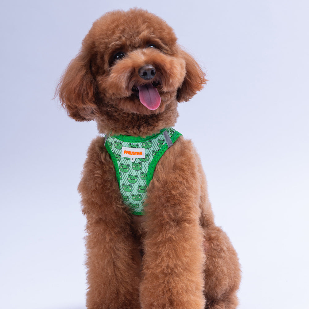PawStar A33-Frog Airmesh - L
