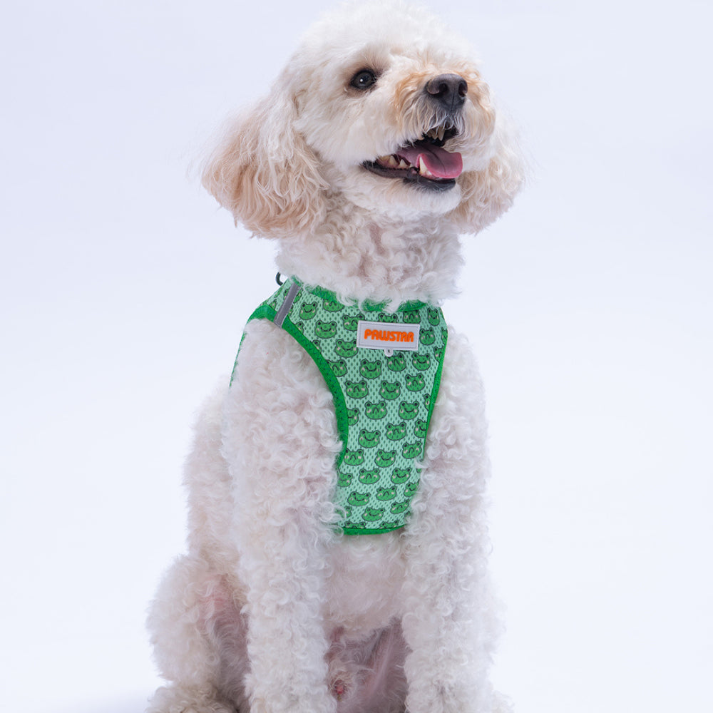PawStar A33-Frog Airmesh - M