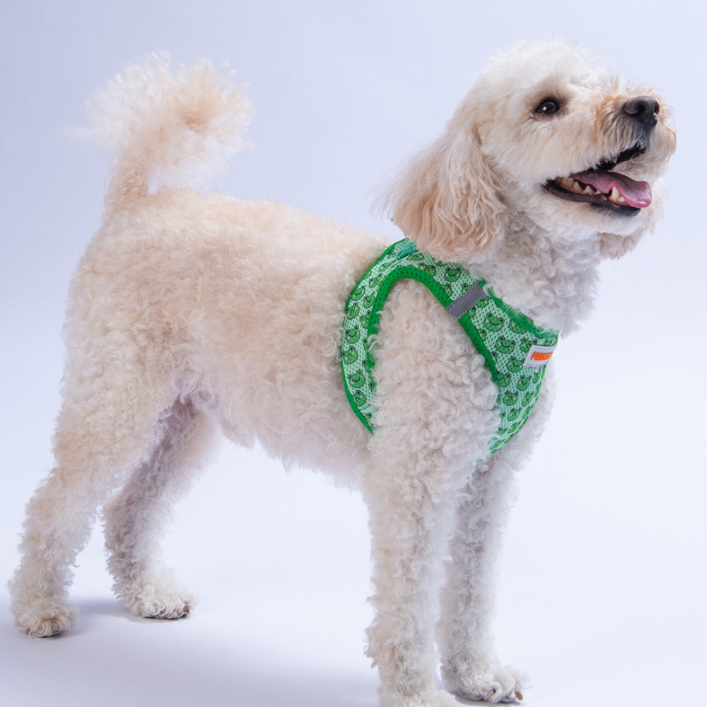PawStar A33-Frog Airmesh - M