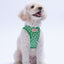 PawStar A33-Frog Airmesh - XS