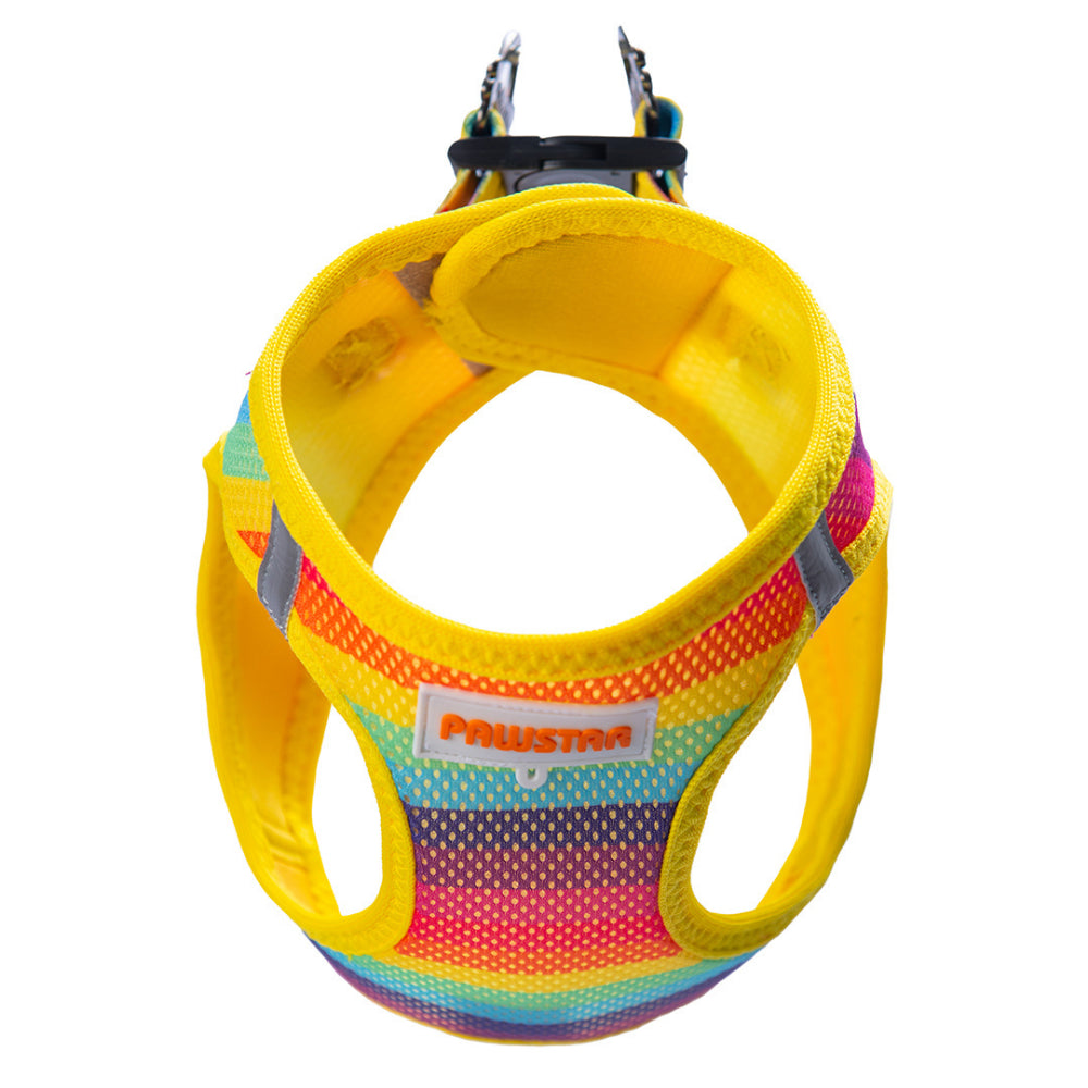 PawStar A34-Rainbow Airmesh - XL