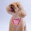 PawStar A35-Daisy Airmesh - L