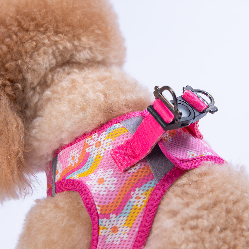 PawStar A35-Daisy Airmesh - M