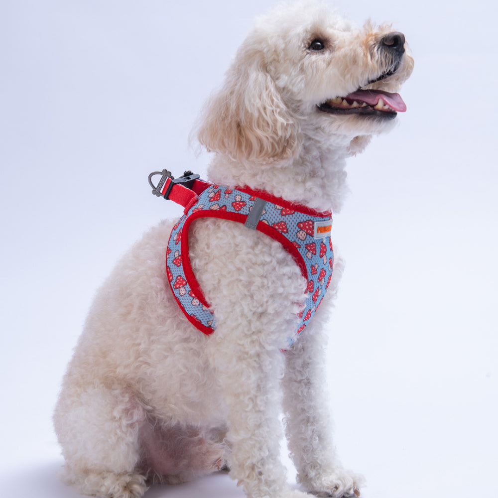 PawStar A36-Mushroom Airmesh - L