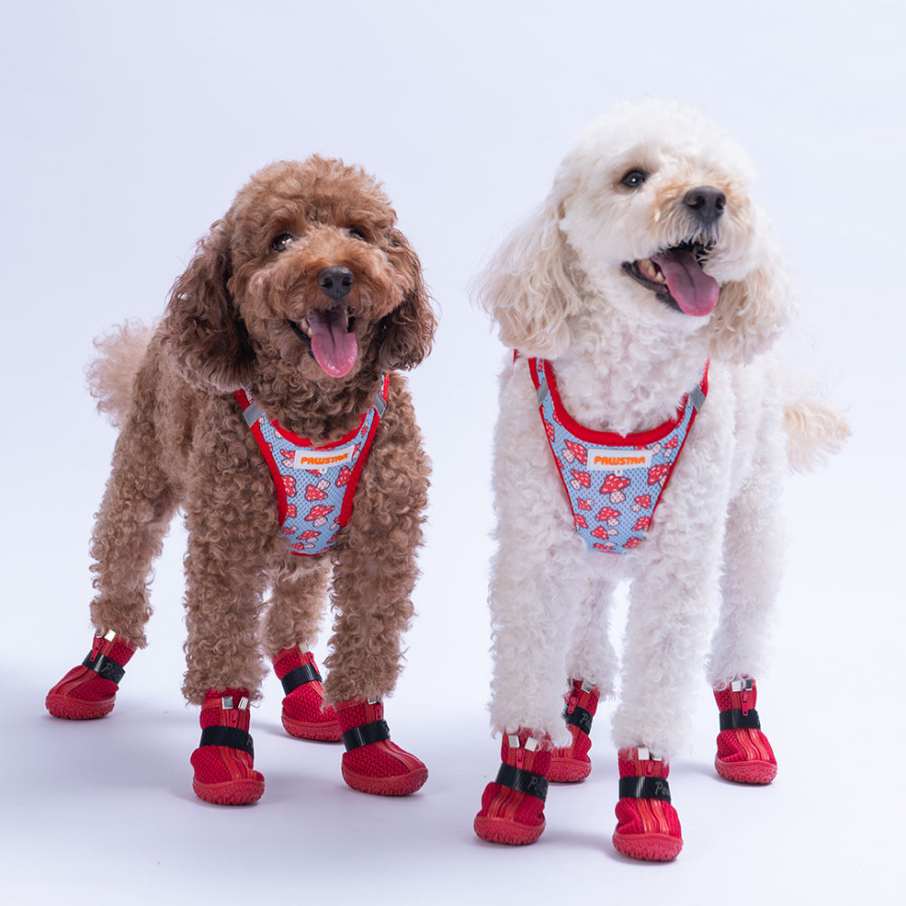 PawStar A36-Mushroom Airmesh - L