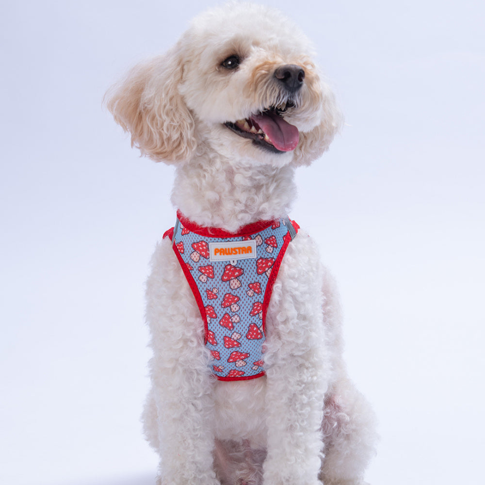 PawStar A36-Mushroom Airmesh - M