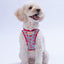 PawStar A36-Mushroom Airmesh - S