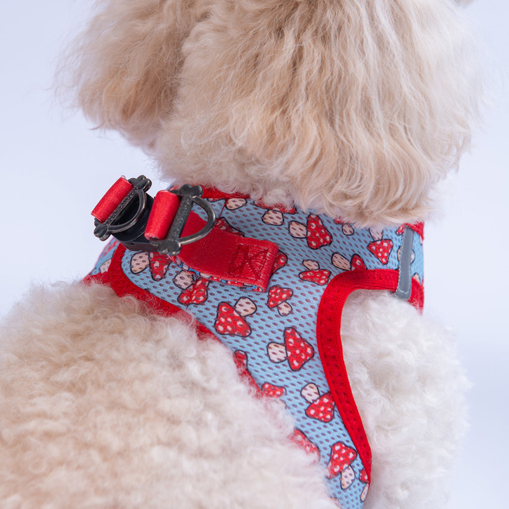 PawStar A36-Mushroom Airmesh - S
