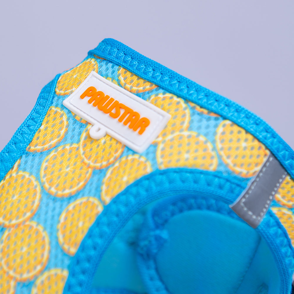 PawStar A37-Citrus Airmesh - 2XS