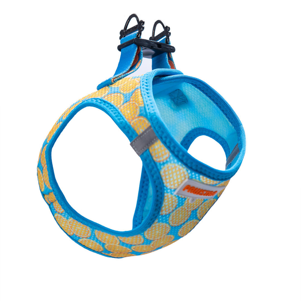 PawStar A37-Citrus Airmesh - L