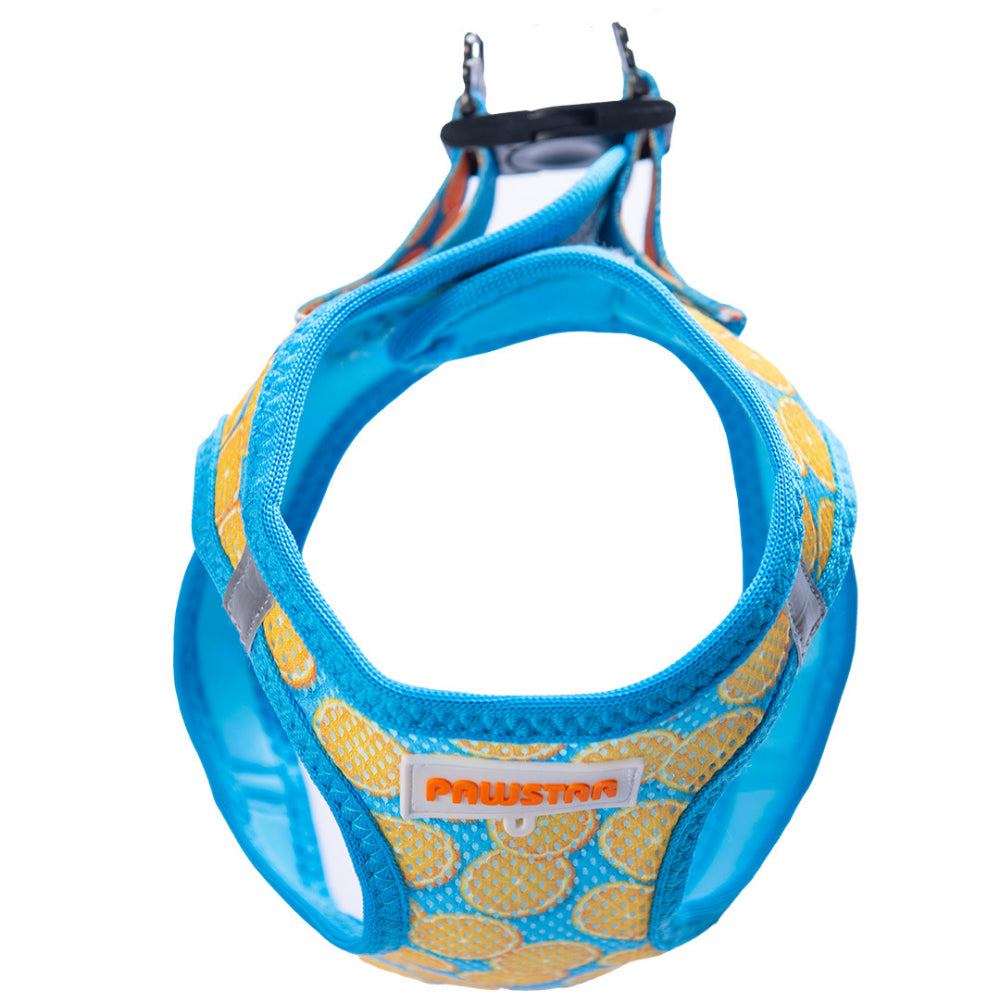 PawStar A37-Citrus Airmesh - M