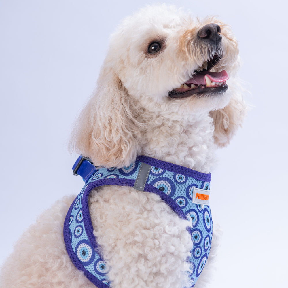 PawStar A38-Charm Airmesh - M