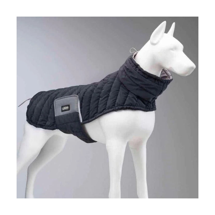 Lindo Air Puff Deep Köpek Montu Beden :7