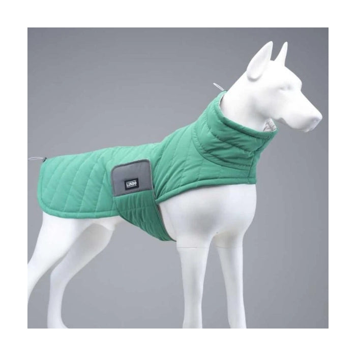 Lindo Air Puff Green Apple Köpek Montu Beden :2