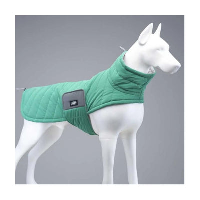 Lindo Air Puff Green Apple Köpek Montu Beden :4