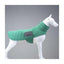 Lindo Air Puff Green Apple Köpek Montu Beden :8