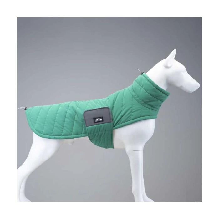 Lindo Air Puff Green Apple Köpek Montu Beden :8