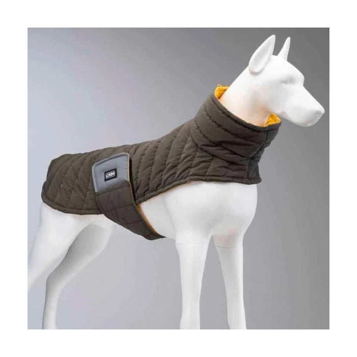 Lindo Air Puff Mango Köpek Montu Beden :3