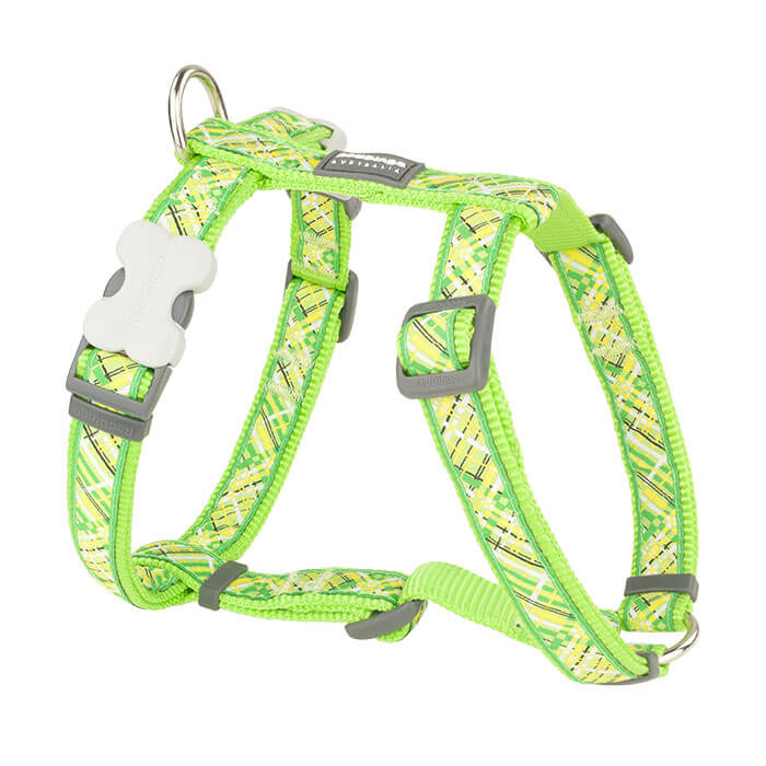 Reddingo Flanno Desenli Lime Köpek Göğüs Tasması 12mm