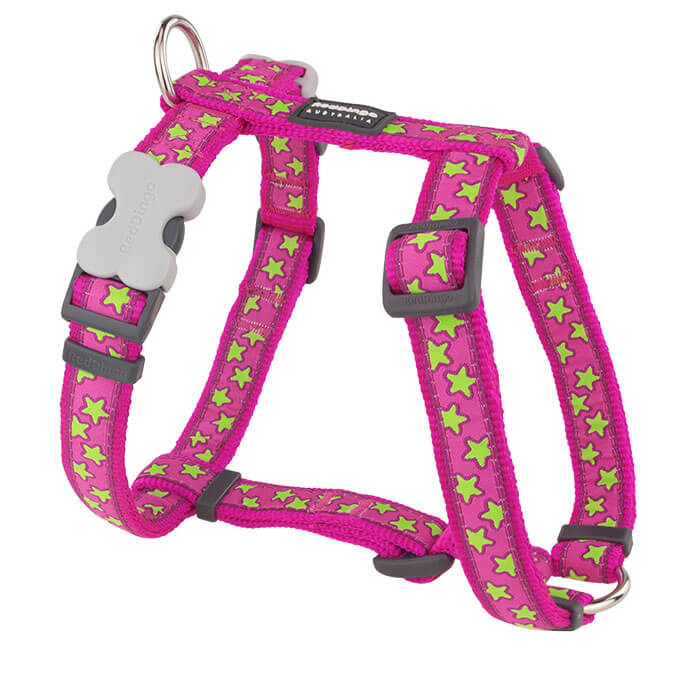 Reddingo Pembe Üzerine Lime Yıldızlı Köpek Göğüs Tasması 20mm