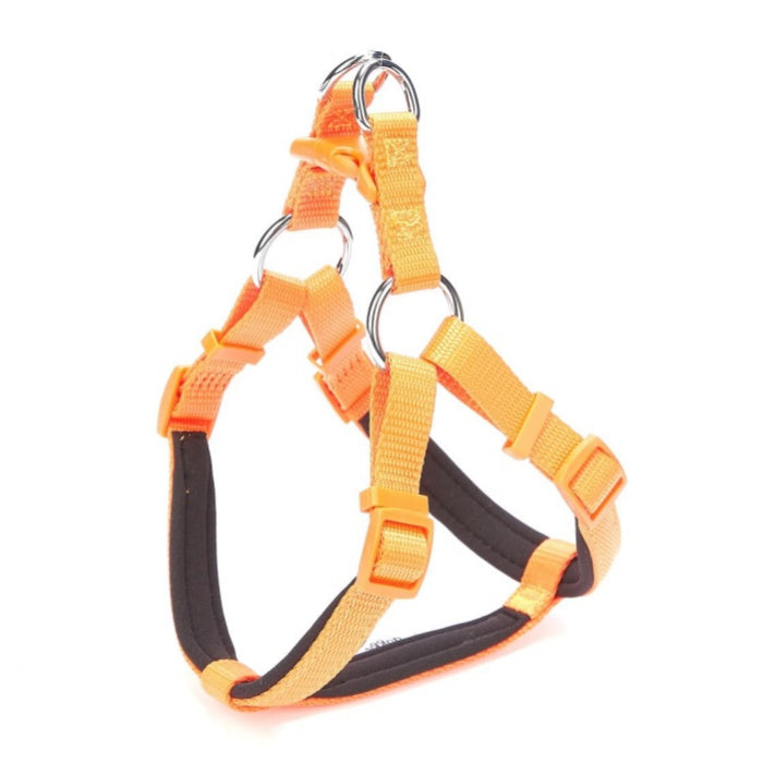 Doggie Konfor Dokuma Ronin Göğüs Tasması Turuncu 1,5X40-45Cm