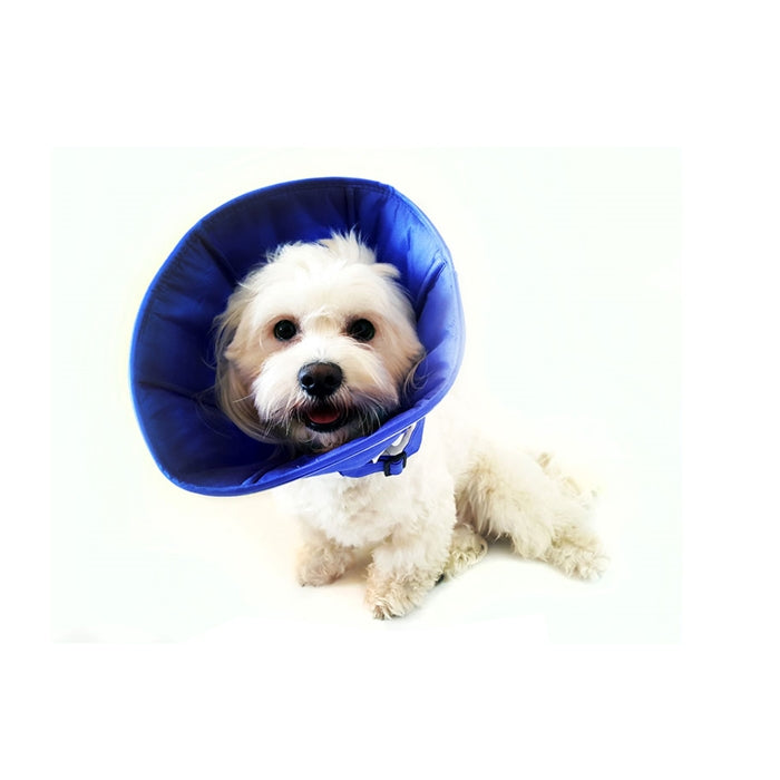 DogTorin Elizabeth Mavi Yakalık M Antibakteriyel