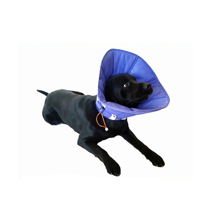 DogTorin Elizabeth Mavi Yakalık L Antibakteriyel