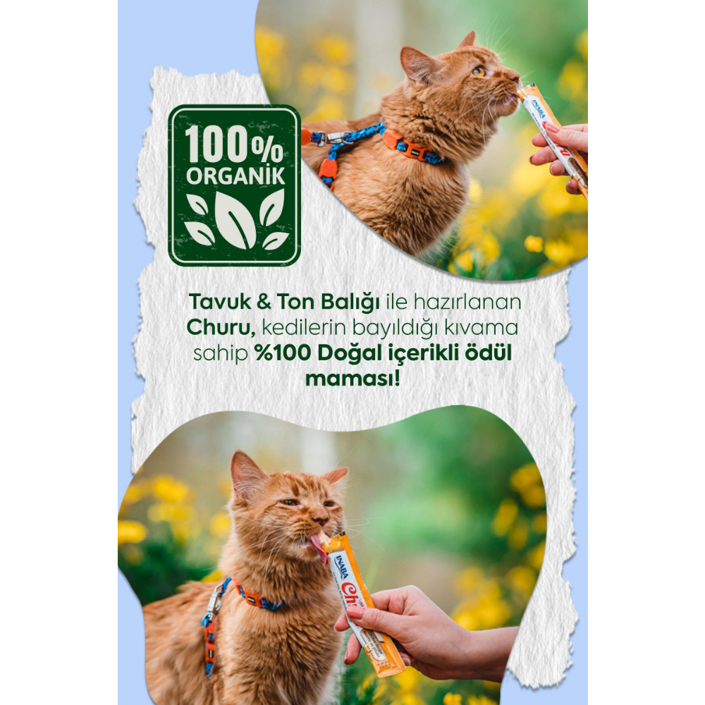 Inaba Ciao Churu Cream Tuna ve Tavuklu Kedi Ödül Kreması 50 x 14 Gr